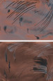 /album/smalti-su-rame-1/21-follia-dell-aria-jpg/